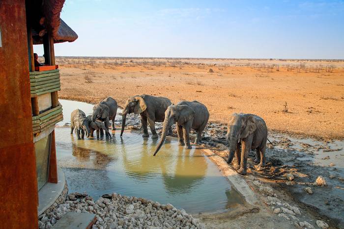 Olifantsrus Campsite / Etosha